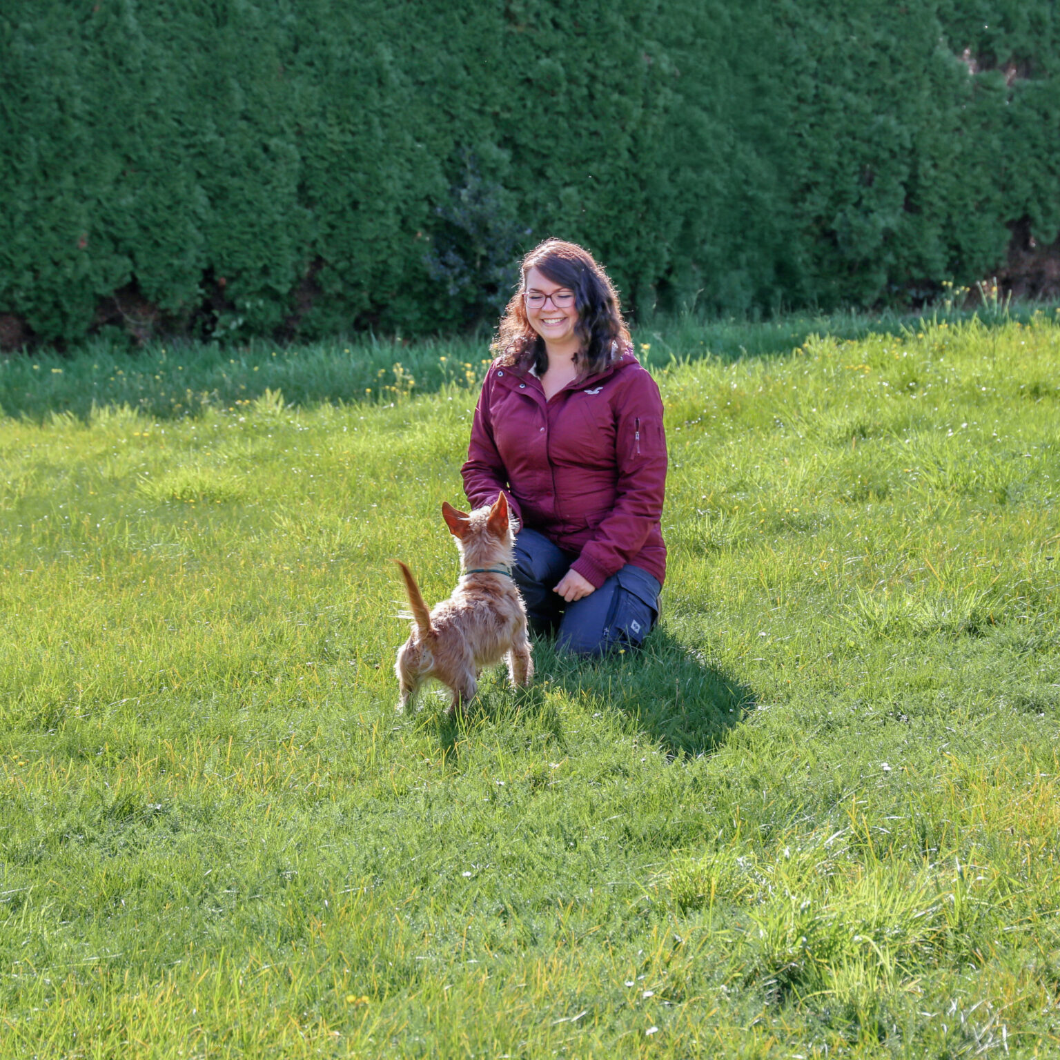 Hundetraining, das Spaß macht.