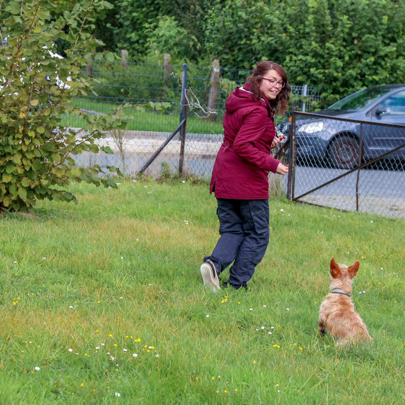 Gemeinsam Trainieren auf der Hundewiese in Wunstorf