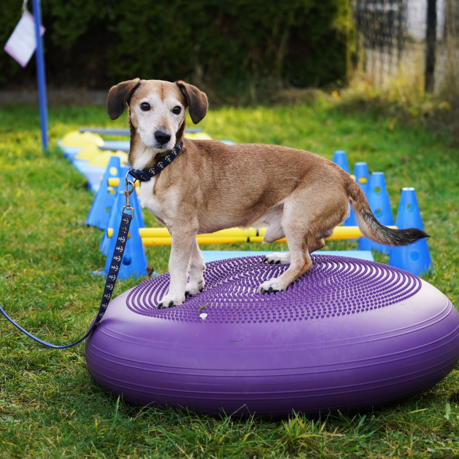 Kopie von 15x10 (10 x 15 cm) (2)