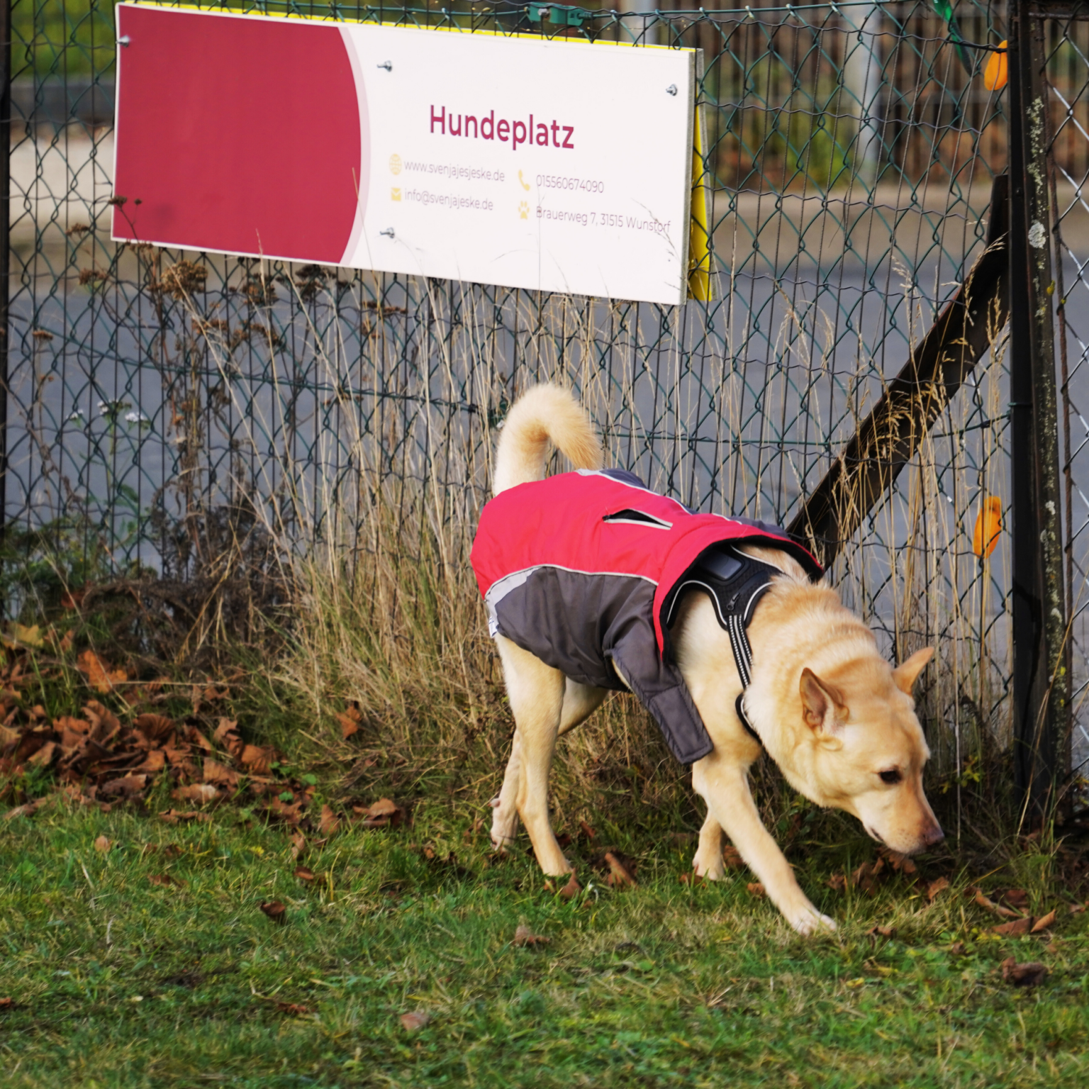 Kopie von Kopie von 15x10 (15 x 10 cm) (10 x 10 cm) (1)